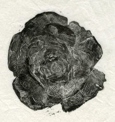 Rose de Pin, 2014